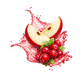 Splash Image