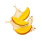 Splash Image