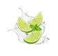 Splash Image