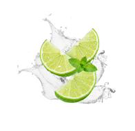 Mojito / 12 x 330ml