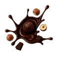 Dark Chocolate Hazelnut Praliné / 12 x 2x25g