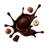 Dark Chocolate Hazelnut Praliné / 12 x 2x25g