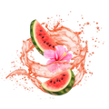 Watermelon Hibiscus / 65ml
