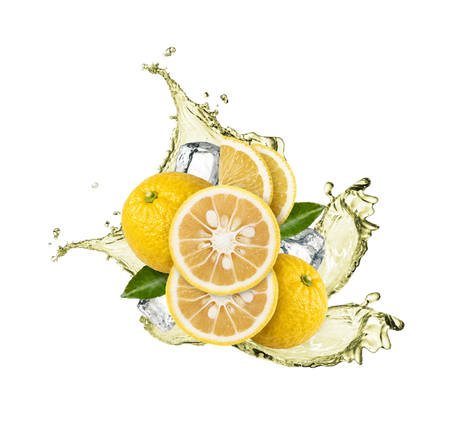 Splash Image